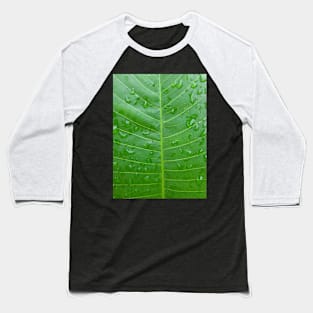 Green banana leaf vein with raindrops Baseball T-Shirt